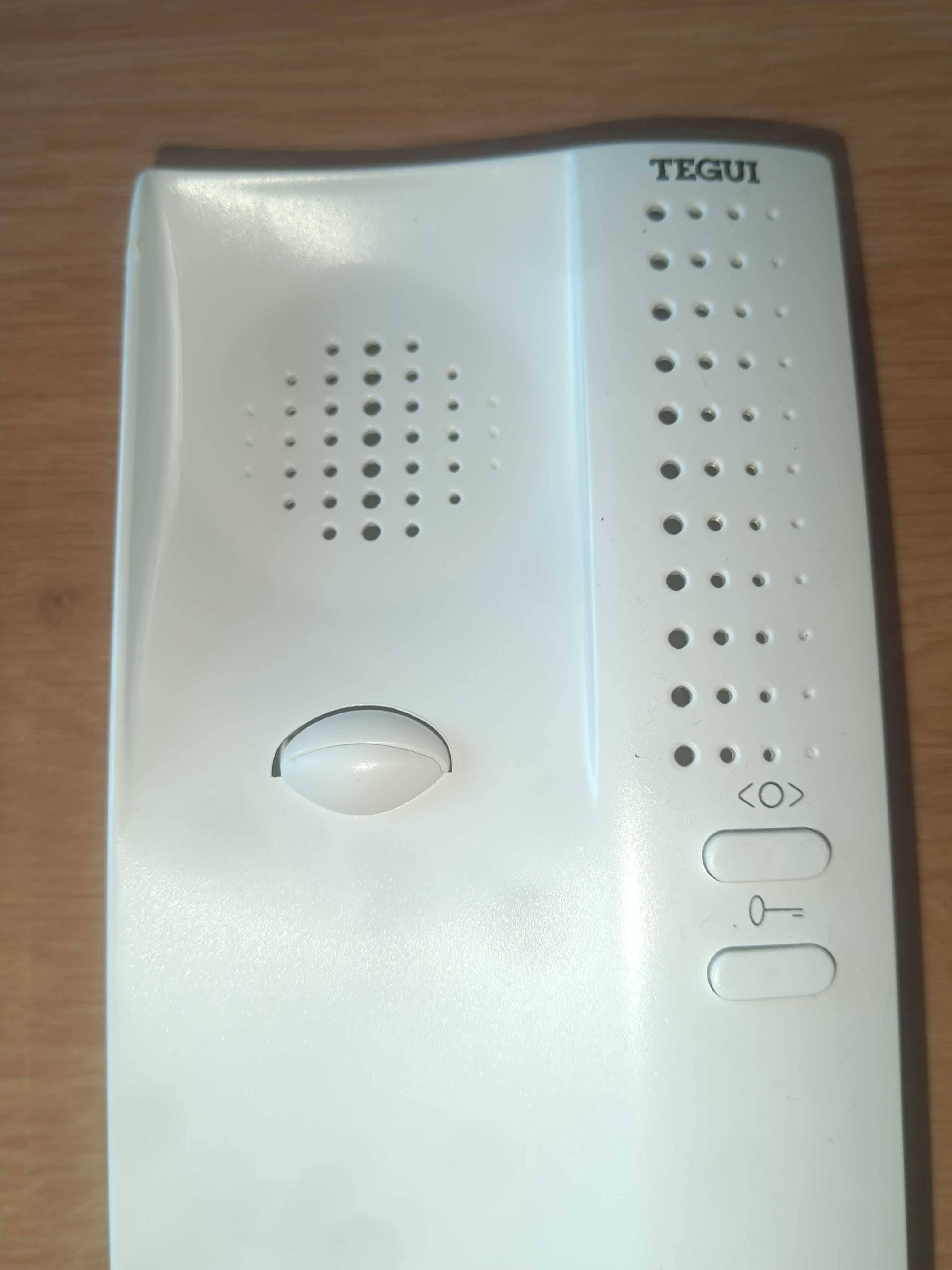 Intercomunicador Tegui (Leroy Merlin)