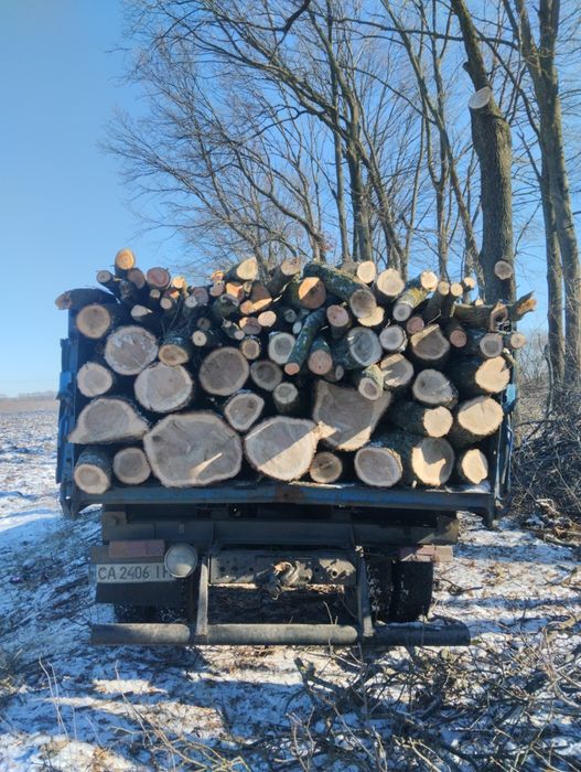 Продам дрова твёрдых/мешаных пород (рубаные,чурки, метровки,)