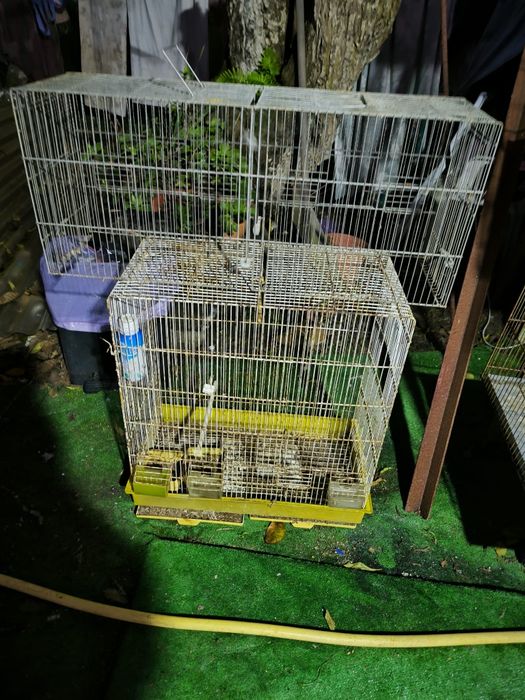 Expositor com gaiolas