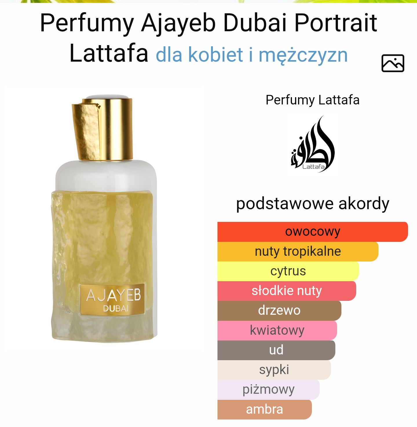 Lattafa Ajayeb Dubai Portrait