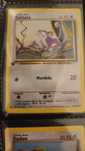 Rattata 1 edicao pokemon