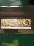 1988 Caderneta Aves dos Açores MNH **