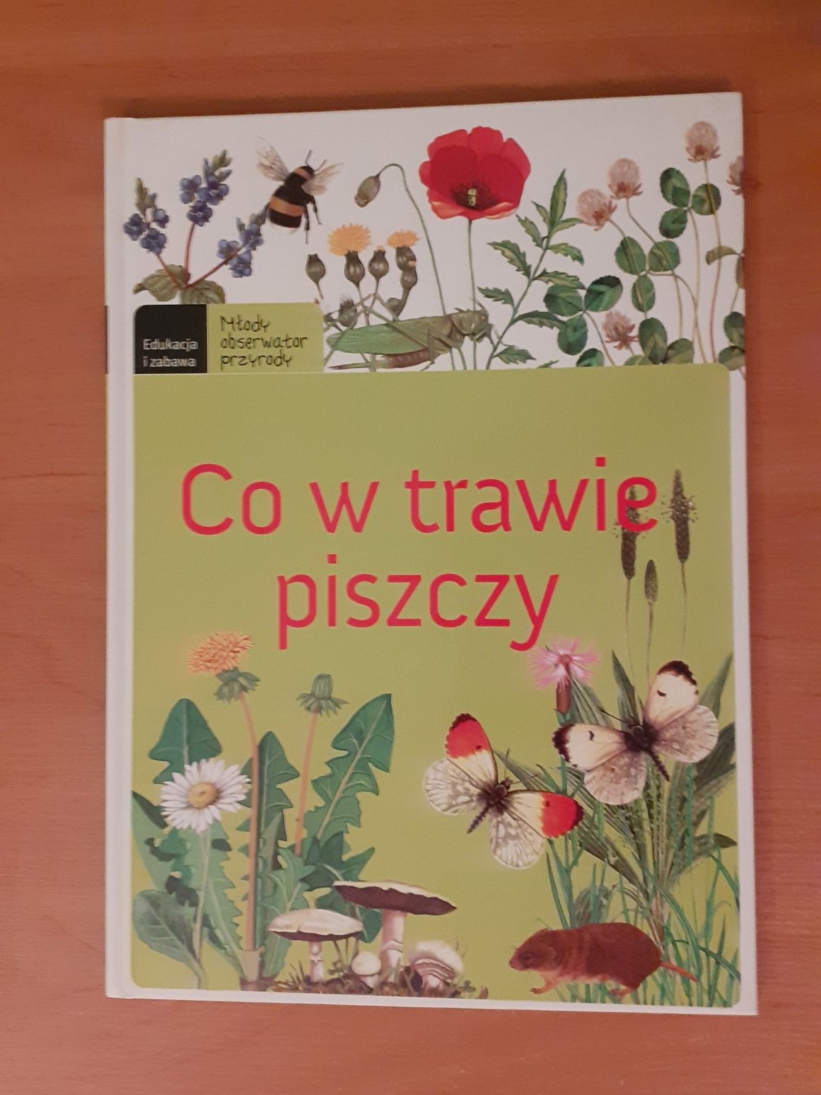 Co W Trawie Piszczy