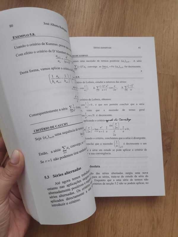 Livro Métodos Matemáticos Engenharia Modelos IR José Alberto Rodrigues