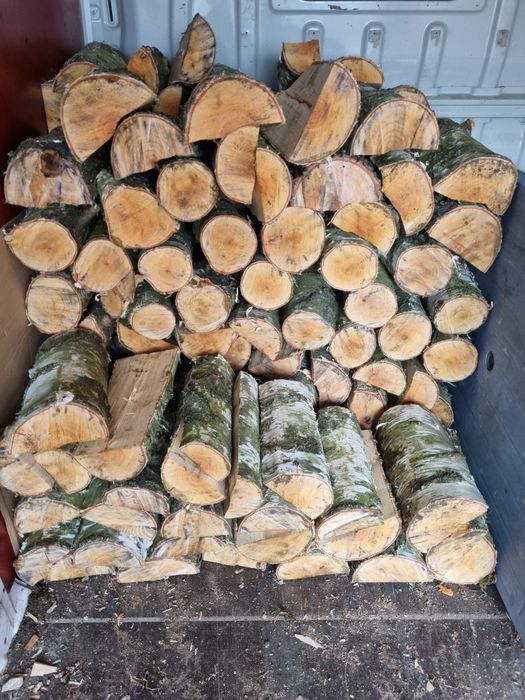 Brzoza drewno opałowe kominkowe