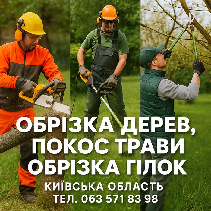 Спилювання дерев, обрізка гілок, покос трави, різноробочі