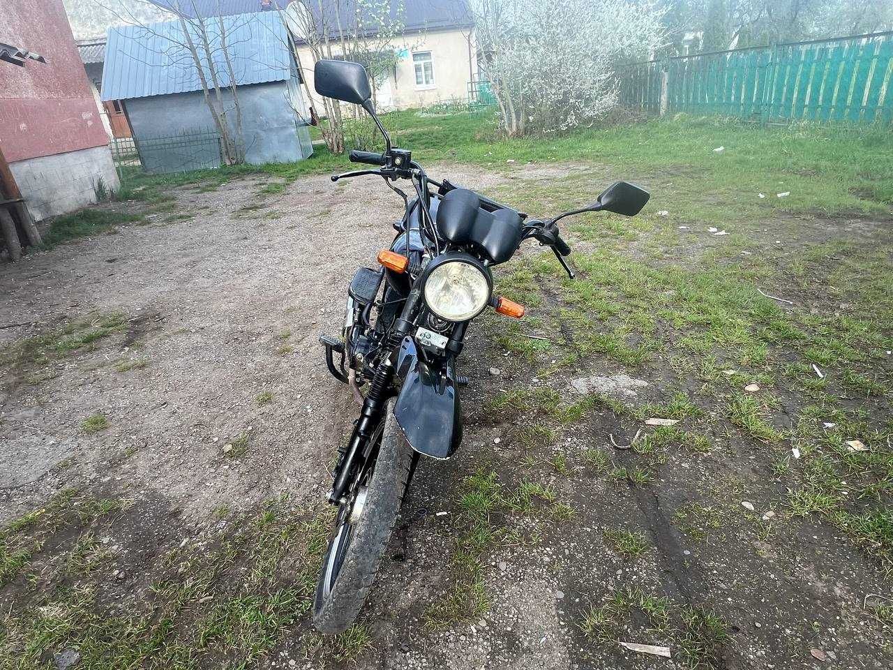 Musstang dingo 125