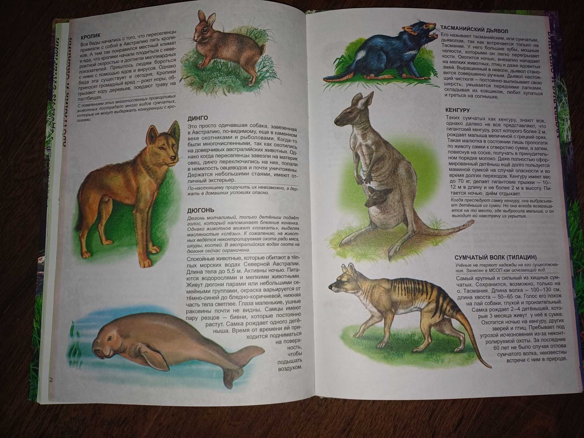 Энциклопедия животных (по материкам)