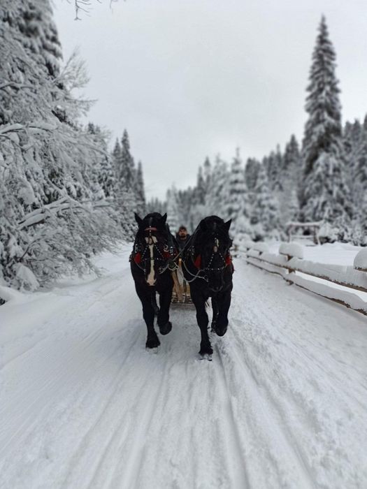 Ferie Domek balia kominek góry Podhale, Gorce, Zakopane, Nowy Targ