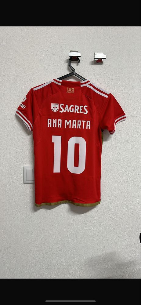 Estampagem em camisolas/ratos/sacos