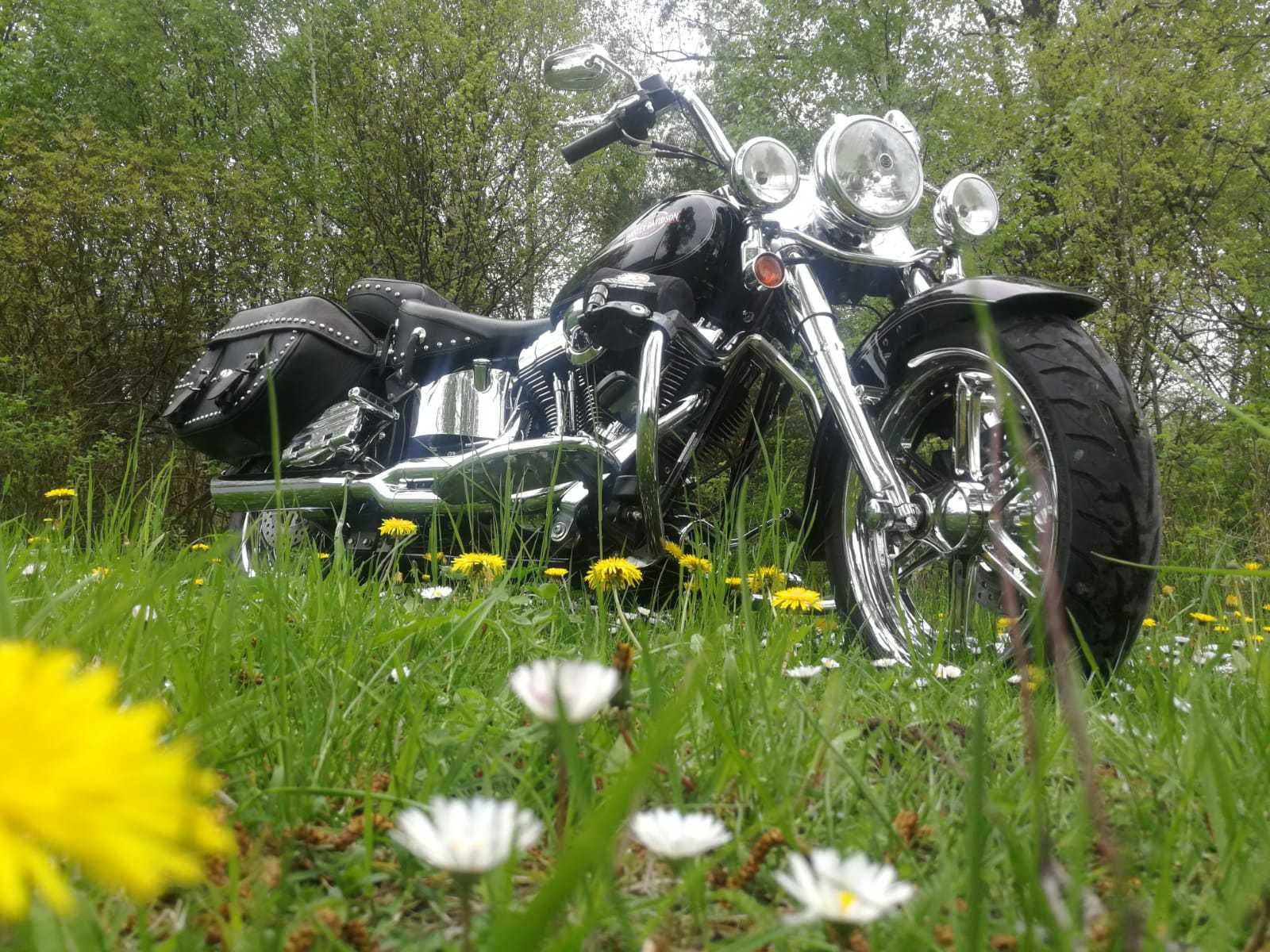 Harley-Davidson FLSTC Heritage Softail