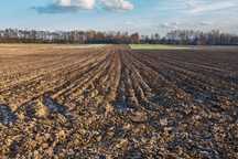 Działka rolna ,ziemia pole orne 2.74ha klasa III / IV