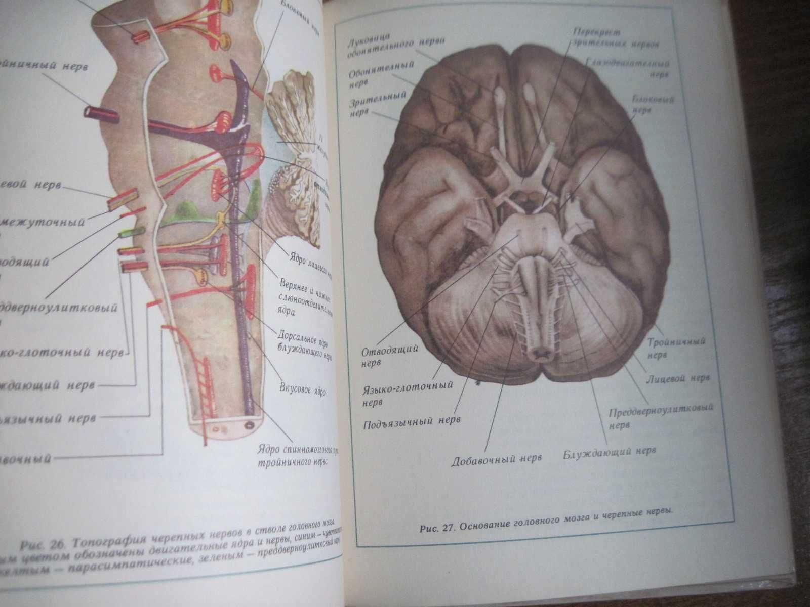 Атлас топической диагностики заболеваний нервной системы 1979