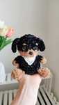 Rottweiler na szydełku, piesek, handmade, dekoracja