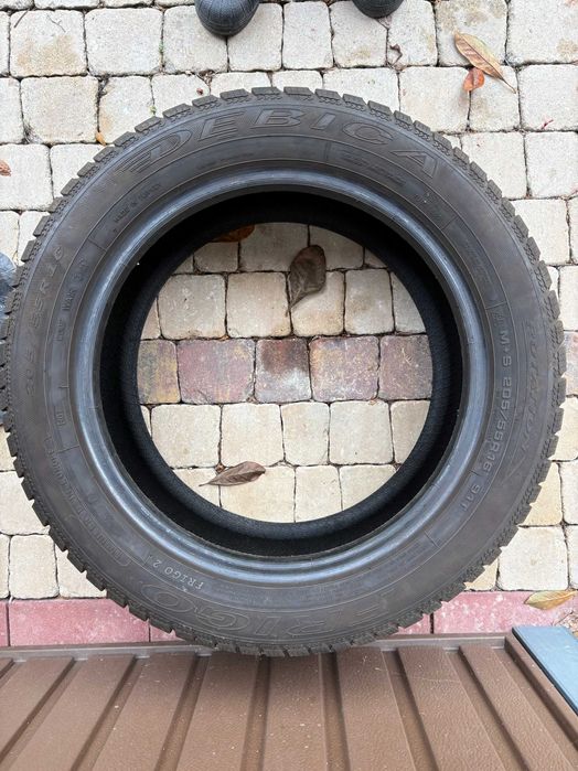 Opony zimowe Dębica 205/55/16