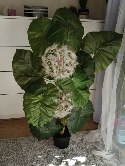 Kwiat alokazja wentii 100cm sztuczny