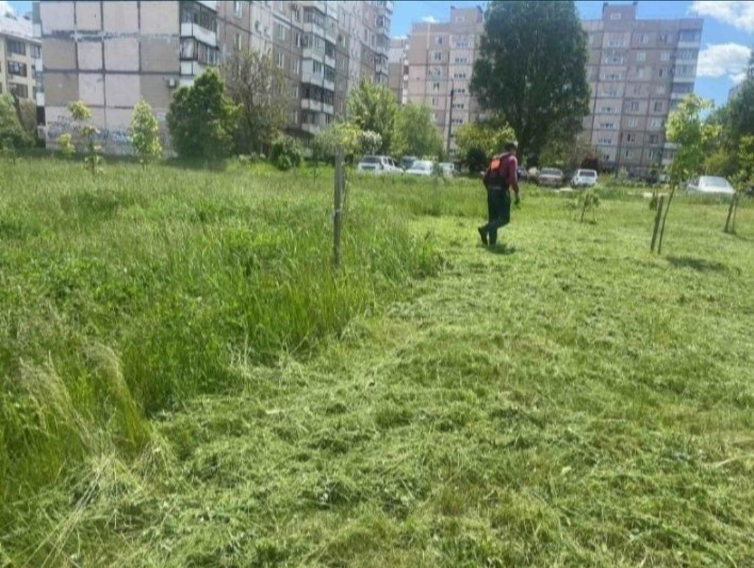 Покос травы/ спил деревьев.