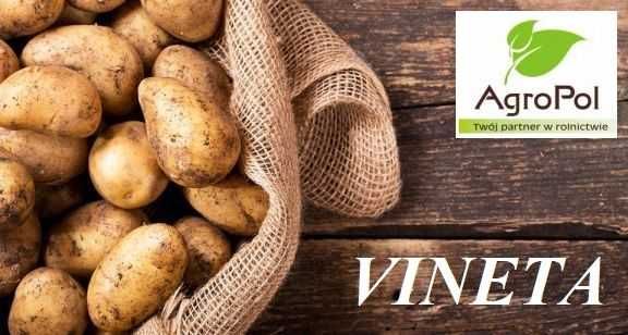 Ziemniak Sadzeniak VINETA Sadzeniaki Ziemniaka Europlant Sadzonki