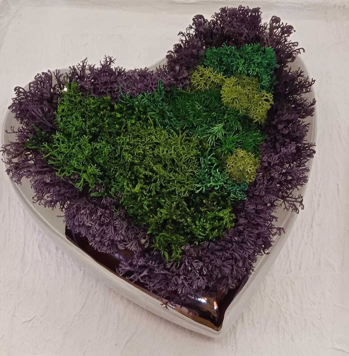 Mech w lustrzanej doniczce w kształcie serca - prezent na dzień matki