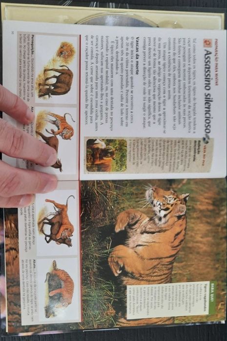 Livro com DVD dos Tigres dos Pântanos