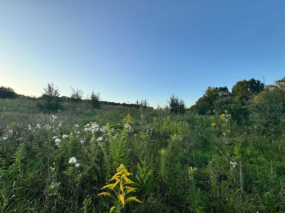 Продаж земельної ділянки в с. Якушинці