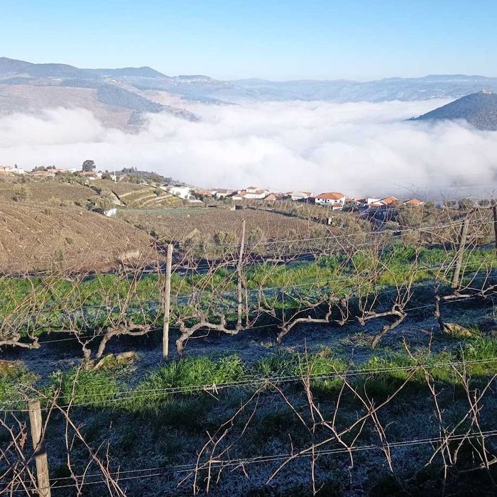 Vende-se terreno rústico em Valença do Douro - Tabuaço