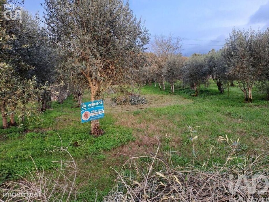 Terreno em Lousã e Vilarinho de 100,00 m2