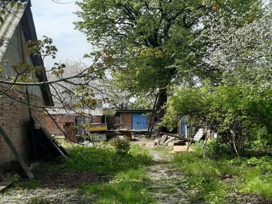 Бюджетний будинок у с. Коломак