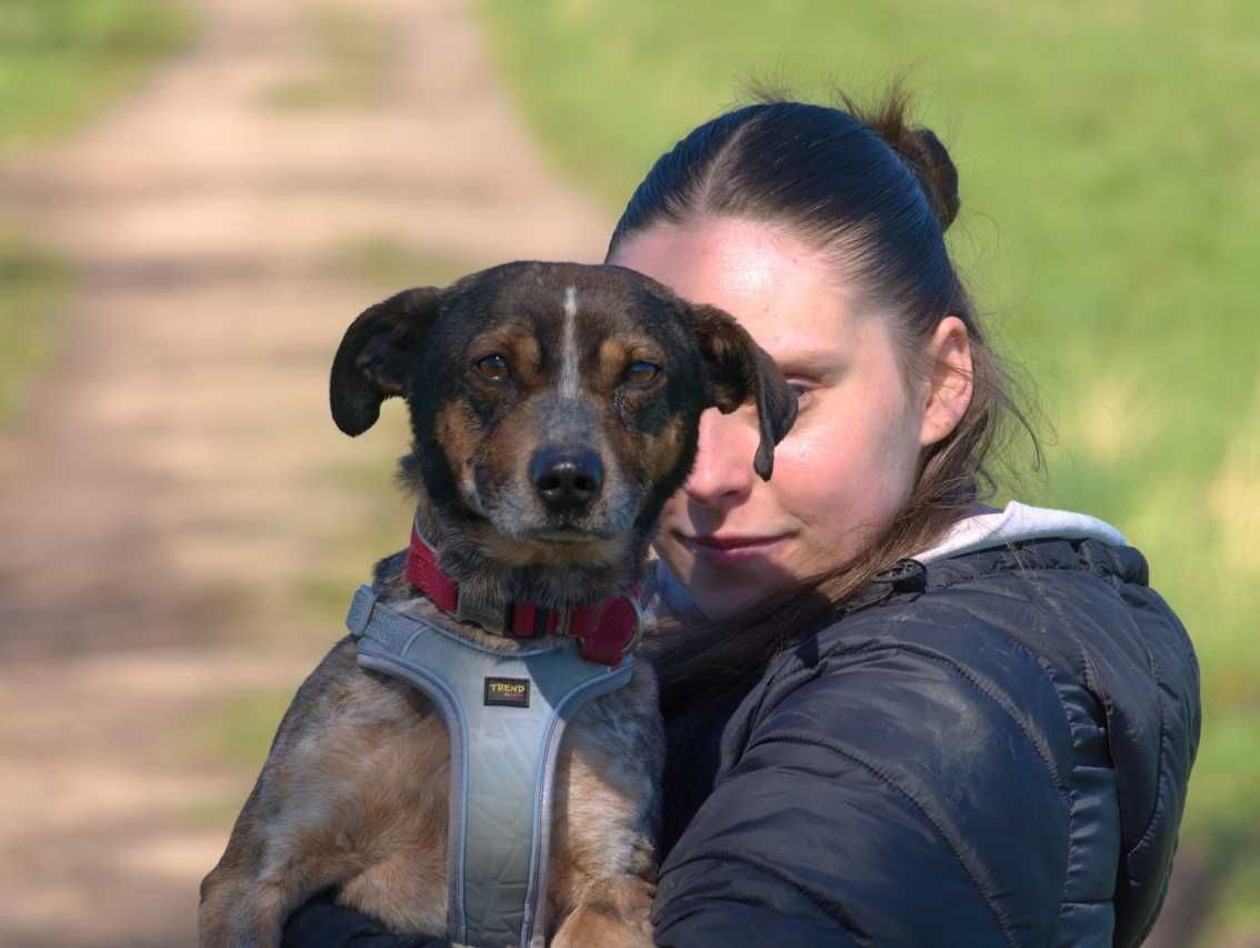 Kosmo - kosmicznie fajny psiak szuka swego miejsca na Ziemi!