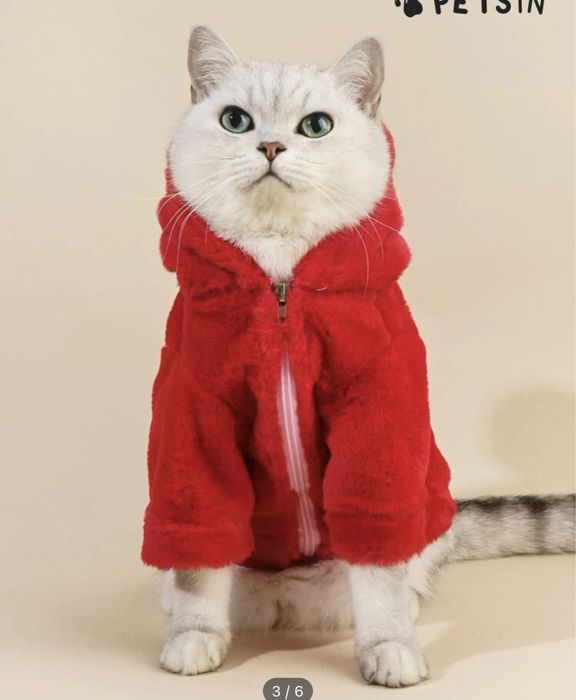 Roupa cao natal XXL