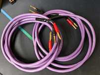 Kable Melodika purple rain 2.5m wtyki bananowe.