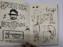 Щодденик Еллі з The Last of Us Part ll. Ellie’s journal tlou2