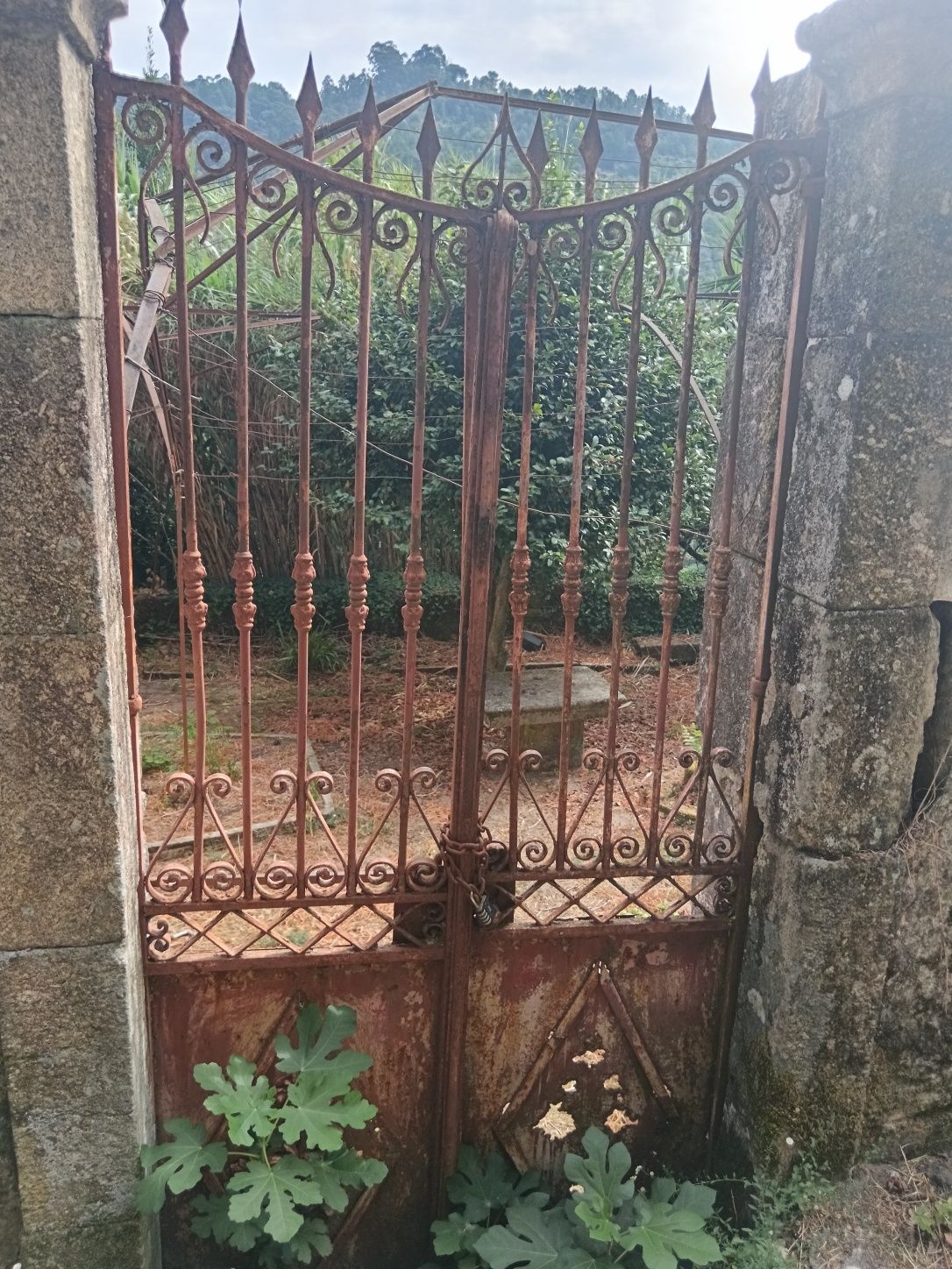 Casa Senhorial  Cinfães Douro