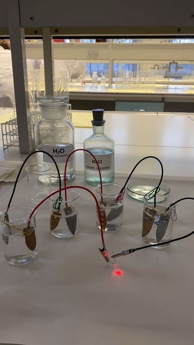 Korepetycje z CHEMII - Szkola podstawowa i średnia