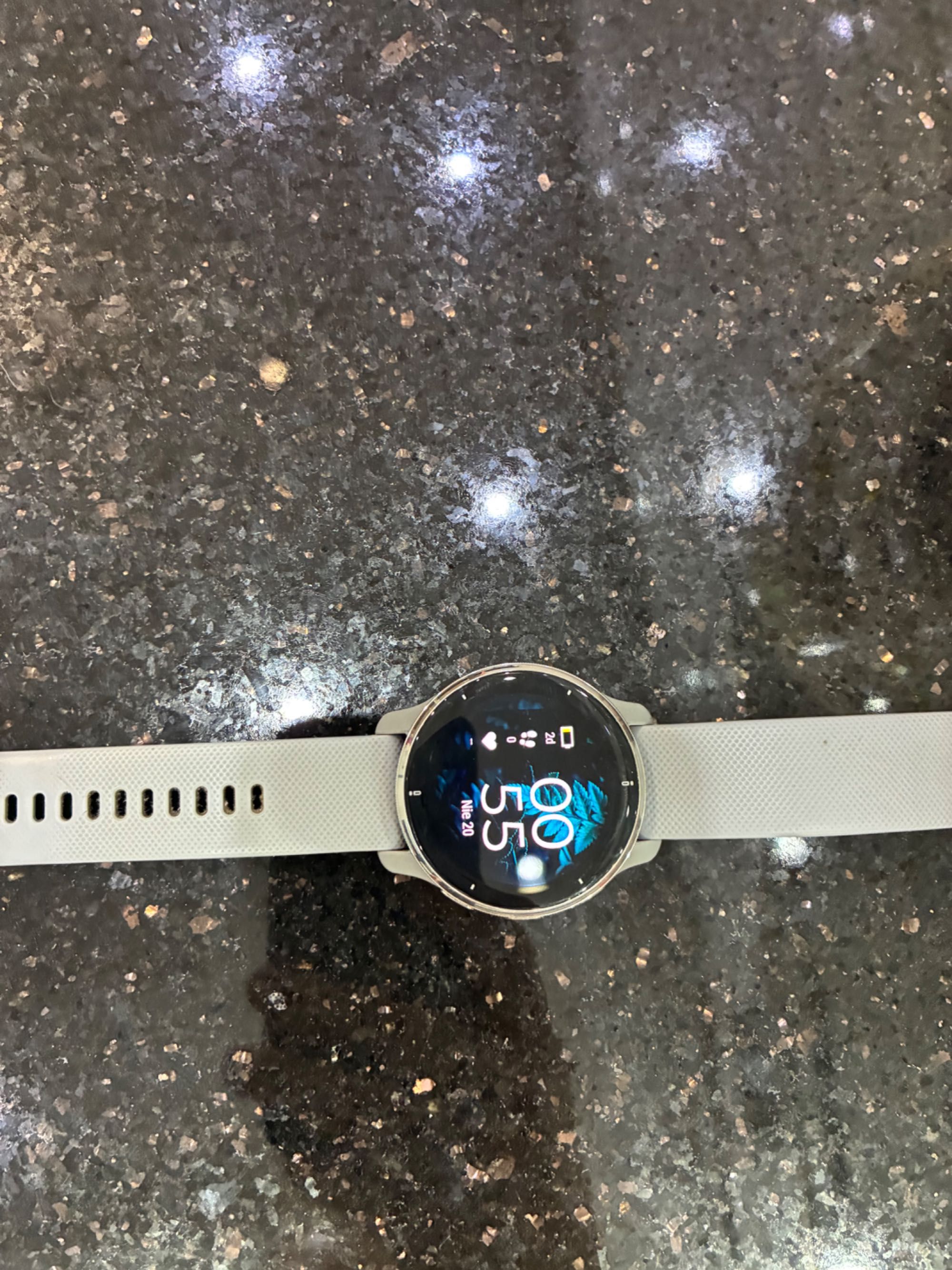 Garmin Venu 2 Plus