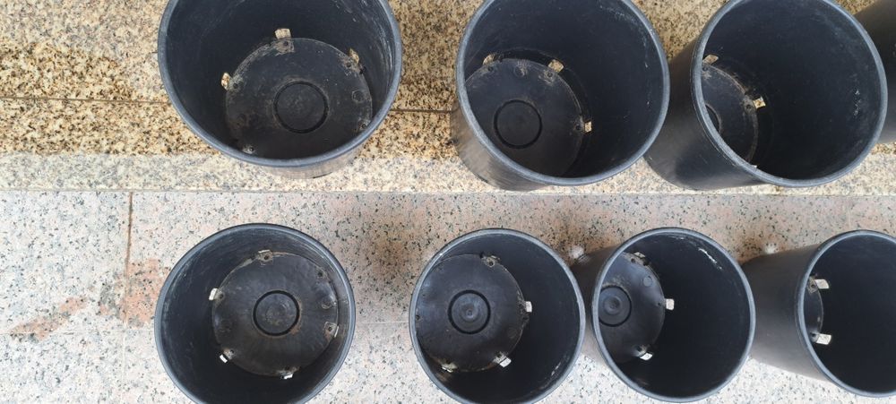 Vasos plantas 25