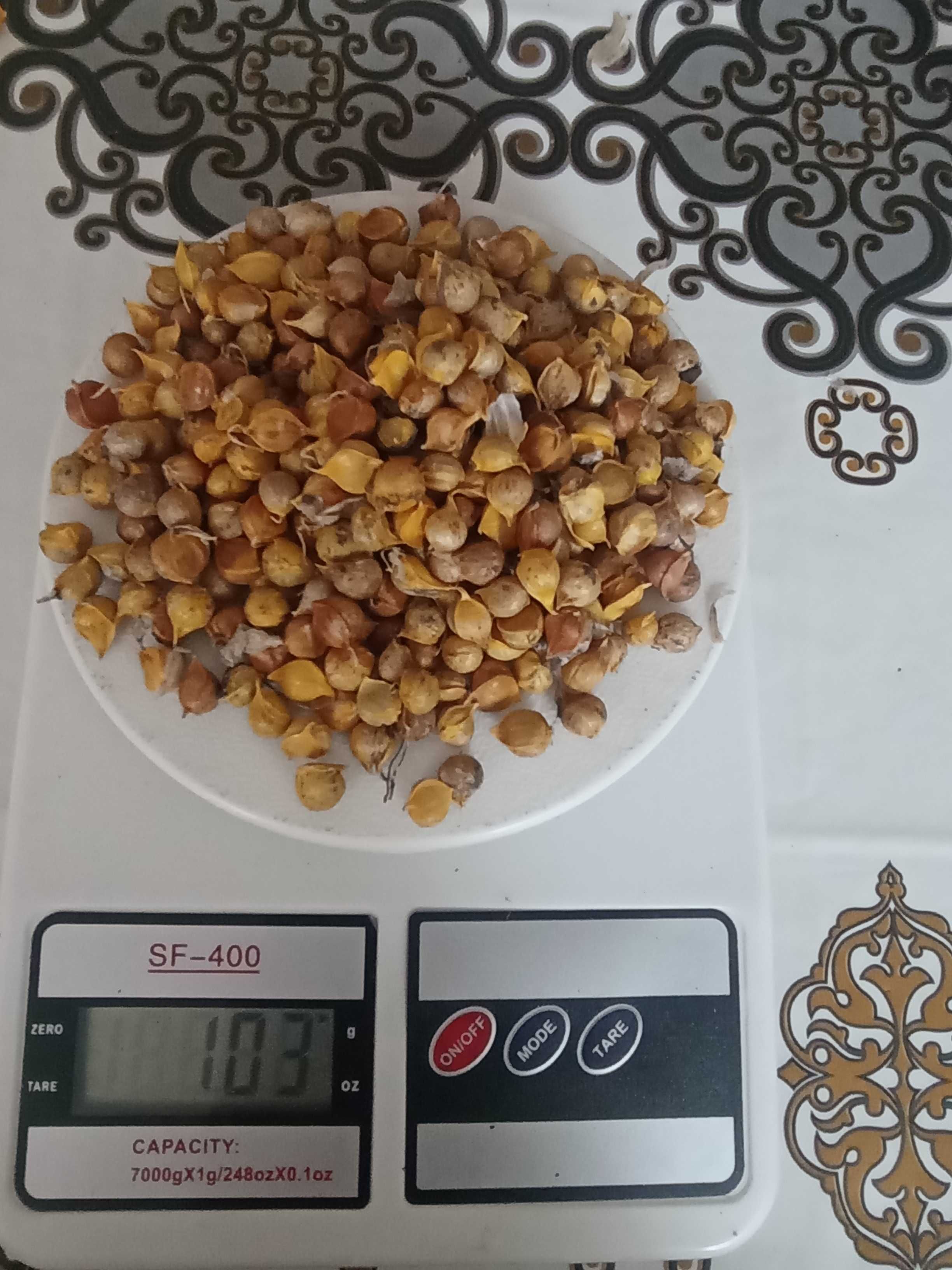Дітки часника рокамболь