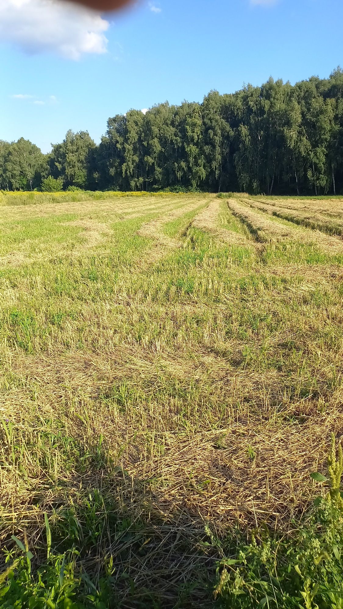 Продам житловий будинок