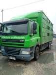 DAF CF 85.410 przewóz zwierząt