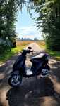 Piaggio zip 50 4t