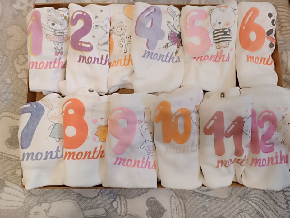 Боді по місяцях, бодіки для фотосесії щомісяця, боді 1-12 місяців