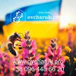 Карніка F0, інструментального осіменіння