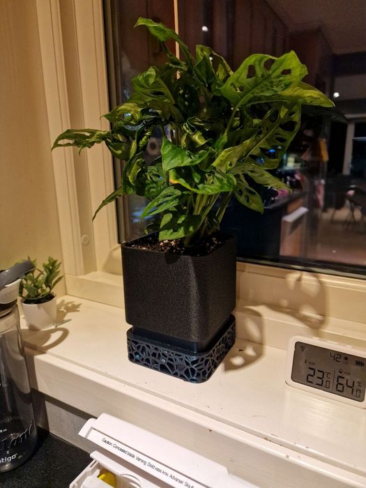Vaso para plantas