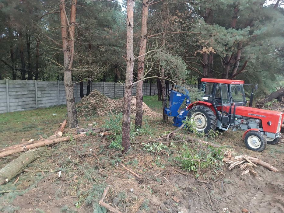 Usługi rębak, czyszczenie działek, karczowanie, wycinka, trzebież