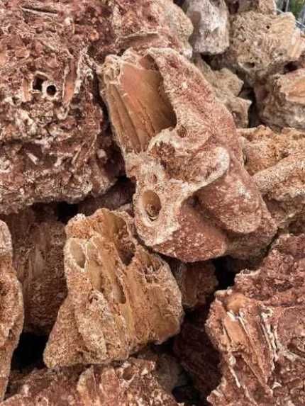Koralowiec Red Spaghetti Kamień Naturalny do Akwarium Terrarium Skała