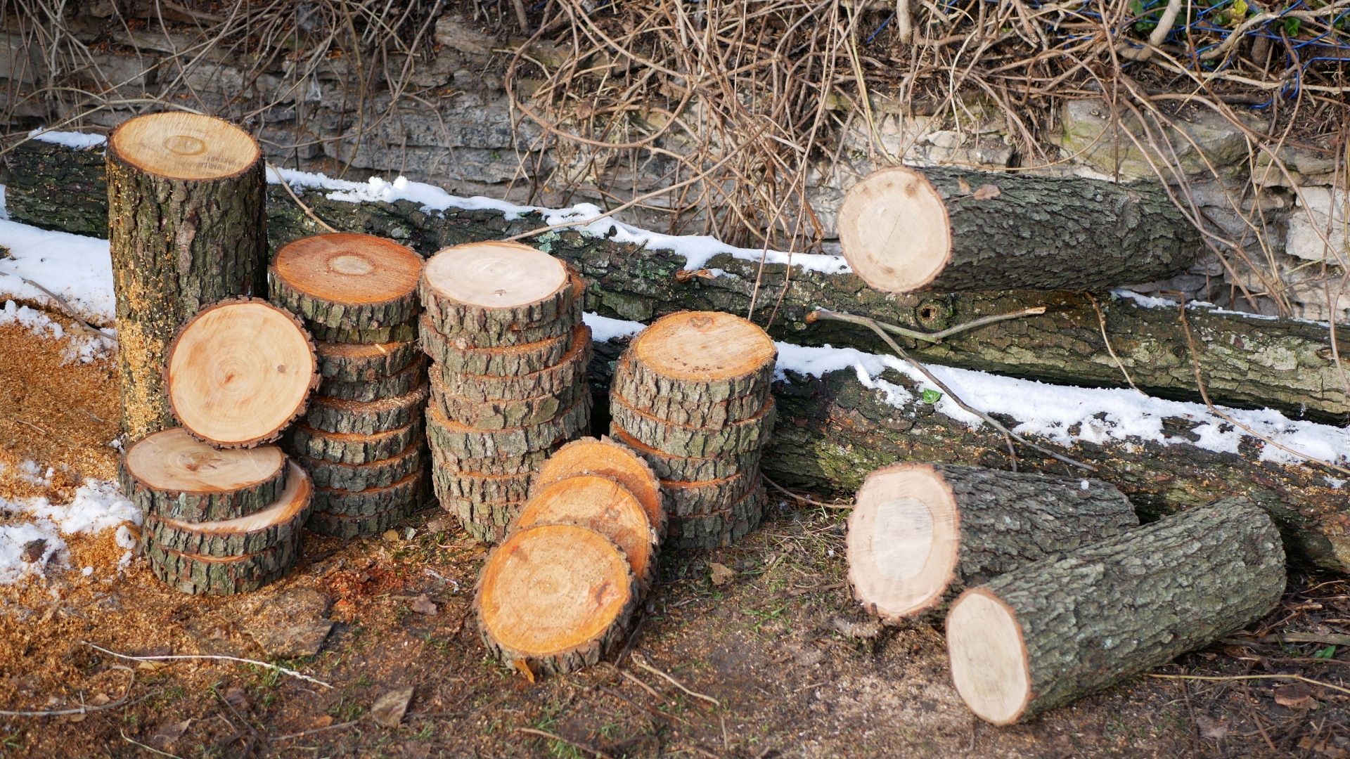 Plastry drewna ozdoba krążki deska duże małe okazja