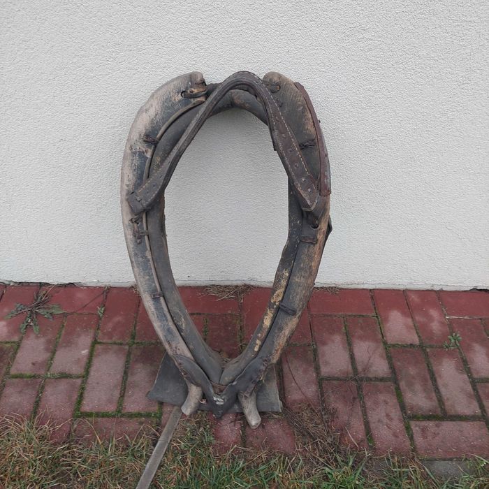 Sprzedam homonto dla konia