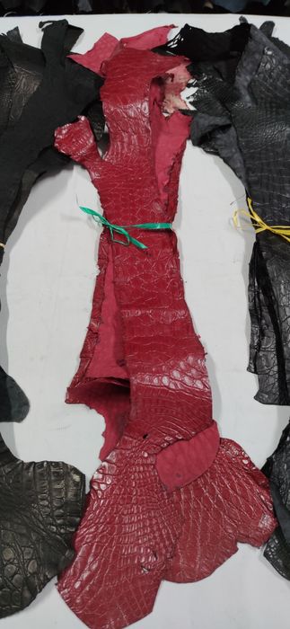 Шкіра Нильського крокодила Кожа натурального крокодила 600 грн