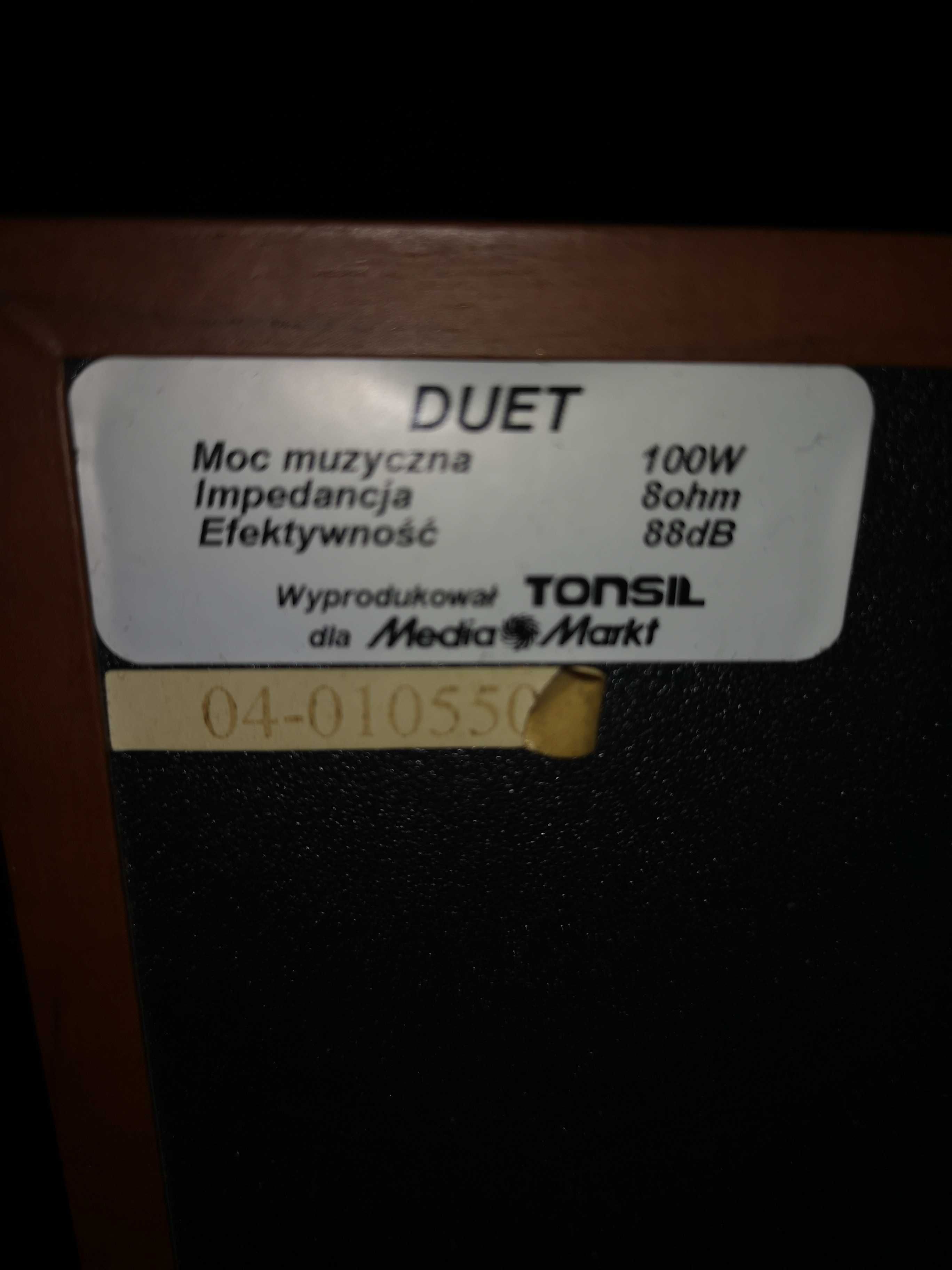 Kolumny TONSIL  100 W