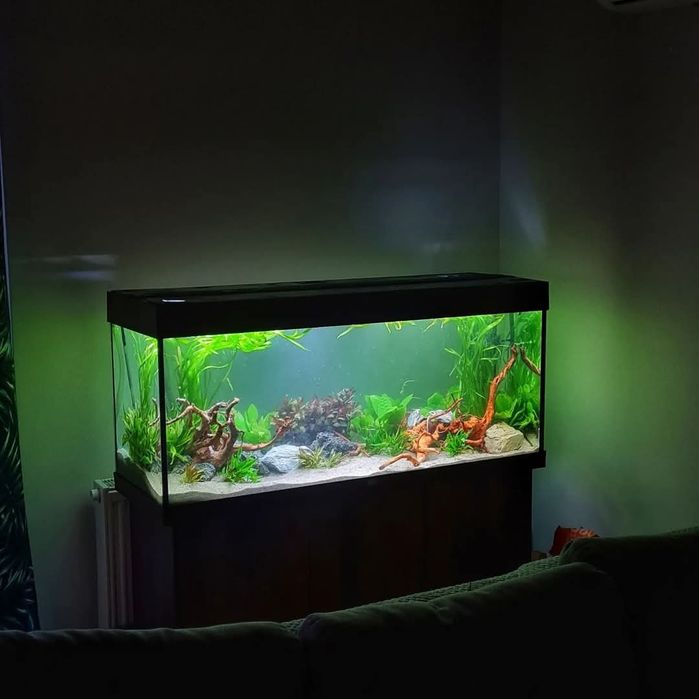 Zakładanie/serwis akwarystyczny